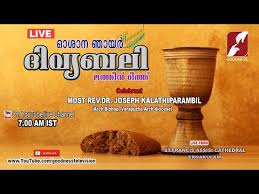 Watch the latest episodes of popular shalom tv show, holy mass through yupptv. Popular Latin Holy Mass Live Videos Top Latin Holy Mass Live Youtube Channels Latin Holy Mass Live Free Downloads Mallu Shares