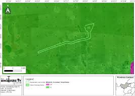 Image result for Chascanum adenostachyum