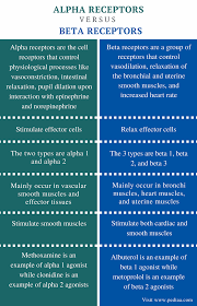 Difference Between Alpha And Beta Receptors Definition Mechanism Role Differences Pharmacology Nursing Medical School Studying Pharmacology