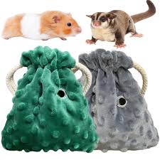 Owning A Sugar Glider Complete Pet Care Guide Basics And Advanced Care