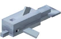 Check spelling or type a new query. Dolphin Minecraft Minecraft Animal Underwater Ruins