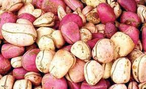 Kola Nut African Food Promote Healthy Digestion Nigerian Food