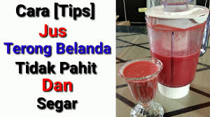 Terong belanda bisa dibuat berbagai varian makanan. Ide Jualan Cara Jus Terong Belanda Tidak Pahit Youtube
