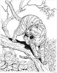 Do you have a little animal lover at home? Hard Animal 2 Coloring Pages Hard Coloring Pages Coloring Pages For Kids And Adults