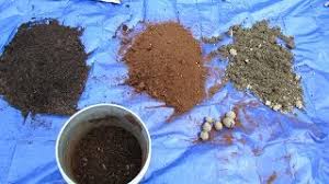 The video below shows this method in action in a. A Basic Container Garden Soil Mix Number 1 Mistake Making A Mix Drainage Planting Potatoes Youtube