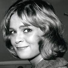 Watch I Spy (1965) TV Series Free Online