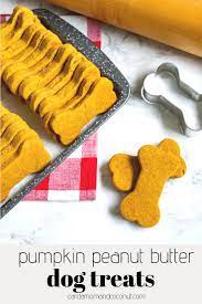 Pumpkin Peanut Butter Dog Treats Recipe Homemade Dog Cookies Peanut Butter Dog Treats Dog Biscuit Recipes