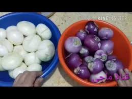 طريقة تخزين تفريز البصل لتوفير الوقت Youtube In 2020 Food Vegetables Easter Eggs