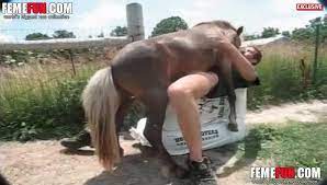 Gay Horse Sex] Gay animal sex as XXX with violent horse doing anal / Only  Real Amateurs on PervertSlut.com