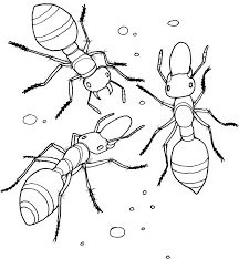 This section contains 13 different insect coloring pages. Coloring Pages Coloring Pages Ants Printable For Kids Adults Free