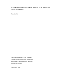 Image result for Baissea wulfhorstii