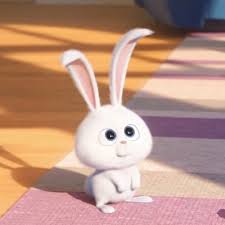 Rabbit) เป็นสัตว์ที่จัดอยู่ใน ไฟลัม สัตว์มีกระดูกสันหลัง ชั้น สัตว์เลี้ยงลูกด้วยนม อันดับกระต่าย (lagomorpha. Pin Oleh Di 3 Gambar Kelinci Kartun Binatang