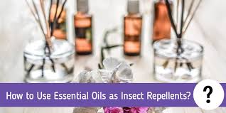 How To Use Essential Oils As Insect Repellents Full Guide