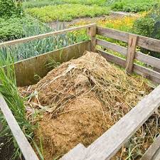Auch sie werden dank neuer technologien immer intelligenter. Natuerliche Tierische Hilfe Im Garten Nuetzlinge Gegen Schaedlinge
