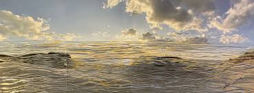 Nancy Jenner — Jamaica Plain Artist Association