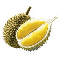 Get your assignment help services from professionals. Jackfruit Vs Durian Health Impact And Nutrition Comparison