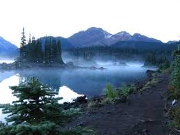 Home to north america's largest concentration of wintering bald eagles, the community of brackendale is squamish's northernmost neighbourhood. Pin On B British Columbia