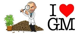 In my experience and aggregating all marijuana lovers' experiences, ilgm is probably the best online seed bank overall known to provide excellent customer service and unparalleled cannabis seeds. Inexpensive Marijuana Seeds Online The 6 Cheapest Seed Banksthat Will Blow You Away Chicago Reader