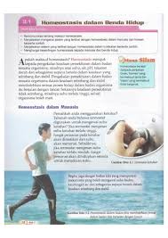 Bab 3.1 homeostasis dalam haiwan homeostasis dalam haiwan id: Homeostasis Dalam Manusia Flip Ebook Pages 1 5 Anyflip Anyflip