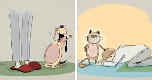 Dogs video came together with the help of shelter pets? Cats Vs Dogs 6 Differences Illustrated By Bird Born Bored Panda