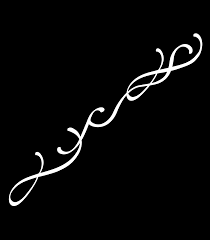 VOICES ON LAW AND ACTIVISM