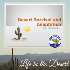In ppthemes you will find powerpoint templates, also known as ppt for free download, with a creative and modern design in all their slides. Desert Powerpoint Worksheets Teaching Resources Tpt