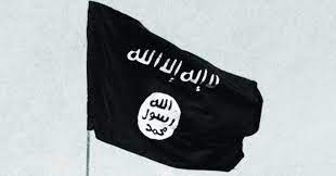 For more information see achtung: Jammu And Kashmir Curb Isis With Iron Hand In Jk Says Bjp India News India Tv