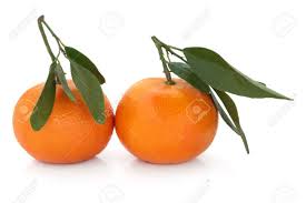 Image result for satsuma orange