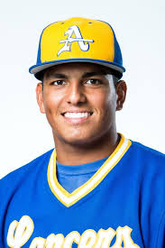 Baseball All-Area: South Hills' Brandon Dieter and coach Darren Murphy earn  top honors