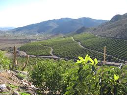 ¿sabes lo que hay que hacer antes, durante y después de hacer ejercicios? Sequia En Petorca Gobierno Sale Por Primera Vez A Comprar Derechos De Agua A Privados Fundacion Terram