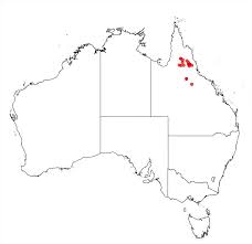 Image result for Meiosperma