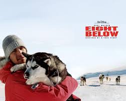 Hasta siempre paul walker eight below , bajo cero. Eight Below Wallpapers Movie Hq Eight Below Pictures 4k Wallpapers 2019