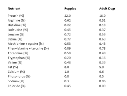 When To Switch Your Puppy To An Adult Dog Food Petmd