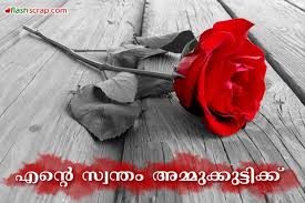 For My Own Ammu With Love Beautiful Red Roses Red Roses Rose