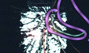 Slither io mods chrome extension. Slither Io Mods 2019 Slither Io Game Guide