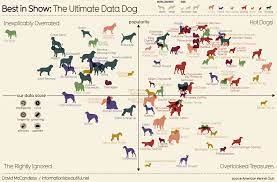 Recreating Data Visualizations From The Book Knowledge Is Beautiful Data Visualization Infographic Dog Training Obedience