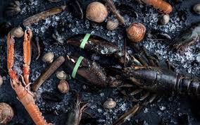 Spedizione di prodotti ittici in grandi quantitativi per attività di ristorazione. Big Green Egg 3 X Frutti Di Mare