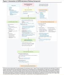 Image result for COPD Exacerbation Decision Tool