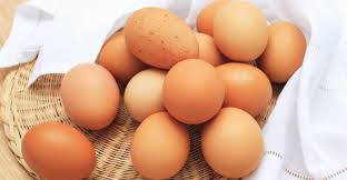 APA SAJA KANDUNGAN NUTRISI PADA TELUR AYAM? – IPB Digitani Website