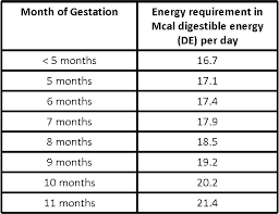 pregnancy diet chart month by month pdf