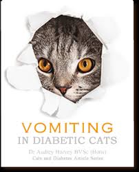 Tips to help stop vomiting in cats. Vomiting In Diabetic Cats Cats And Diabetes