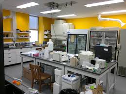 Labpix 2 Biolab Jpg 4000 3000 Interior Home Decor Innovation Lab