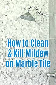 How To Clean Marble Shower Tile Kill Mildew Seal Abbotts At Home In 2020 Marble Shower Tile Marble Showers Diy Marble Tile