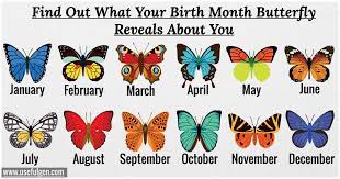 Butterflies Symbolize Love Happiness And Transformation They Are Also Powerful Symbols Of Life And Each Birth Month Symbols Birth Flower Tattoos Birth Month