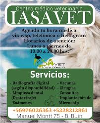 Iasavet Centro Veterinario Buin