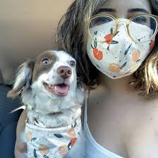 Face Mask & Dog Bandana Bundle