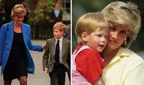 Royal brothers prince william and prince harry have shared a close bond since birth. Prince Harry News Very Poignant Comment Young Prince Made Before Diana S Death Royal News Express Co Uk