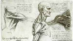 The anatomical artworks give us a look inside the lungs and torso. Leonardo Da Vinci S Rebirth Of Anatomy All Media Content Dw 02 05 2019