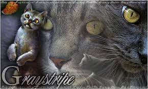 Free warrior cats graystripe graphics for creativity and artistic fun. Graystripe Warrior Cats Wallpapers Posted By Ethan Thompson