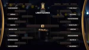 pin em libertadores